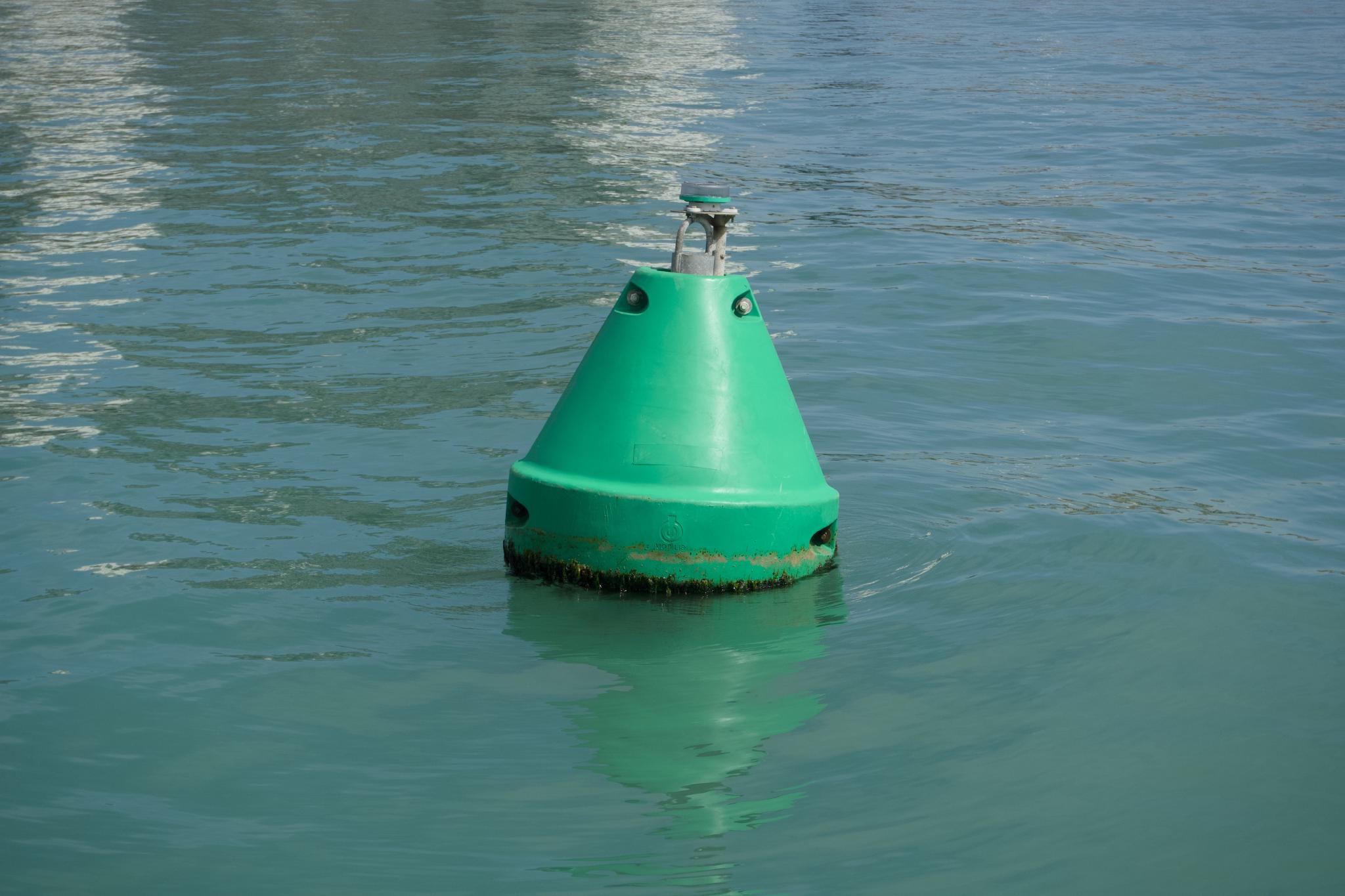 A green conical channel marker buoy floating on calm green water with a small reflection beneath