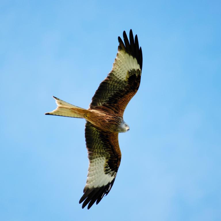 Photo from Flyby