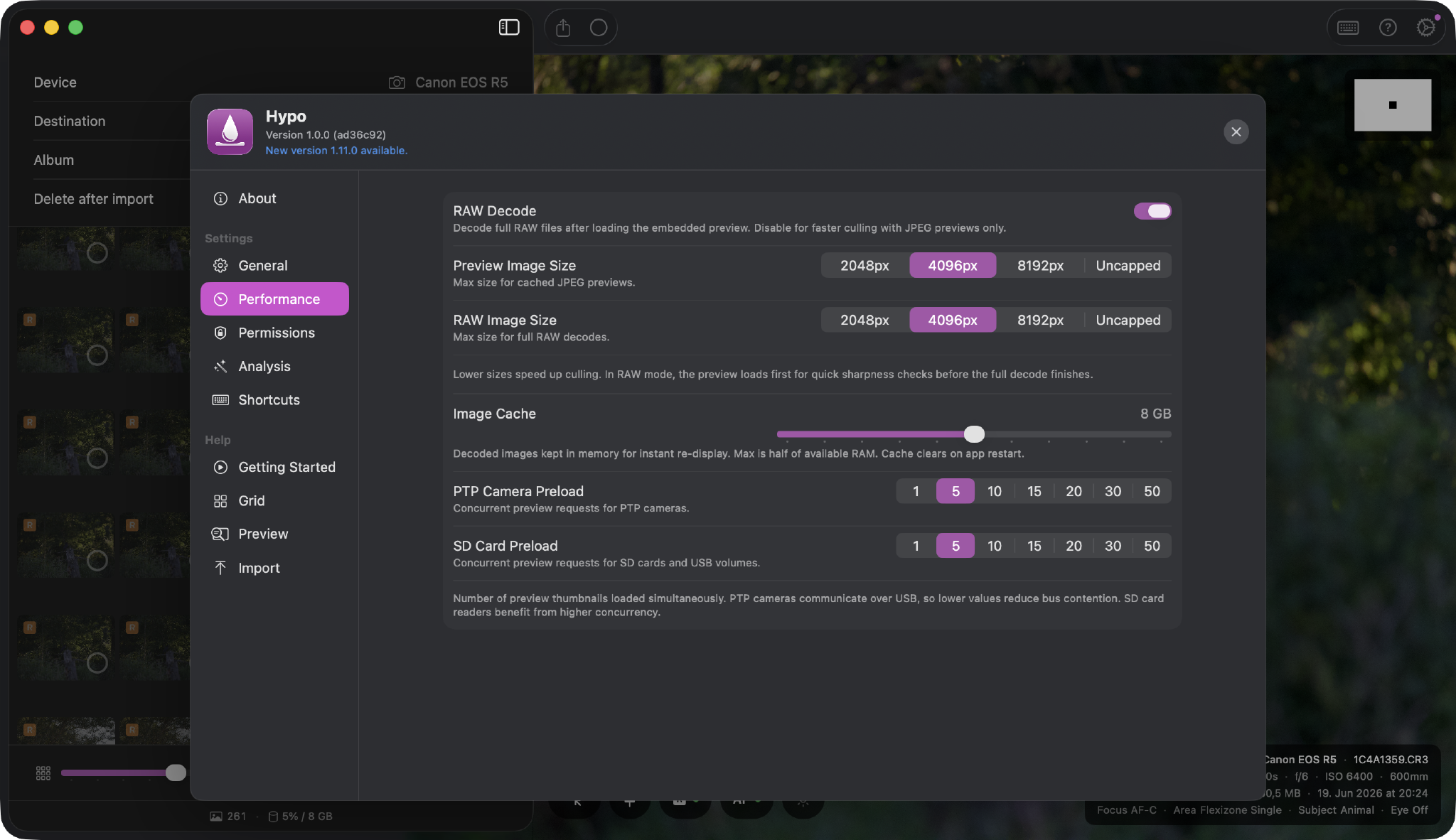 Hypo performance settings with RAW decode, preview size and cache options