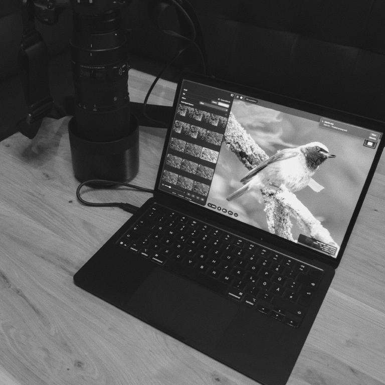 Photo from Hypo is Live