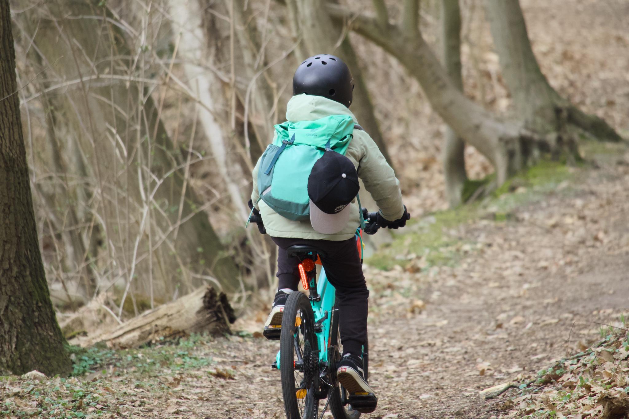 Child riding a bike on a forest path from behind