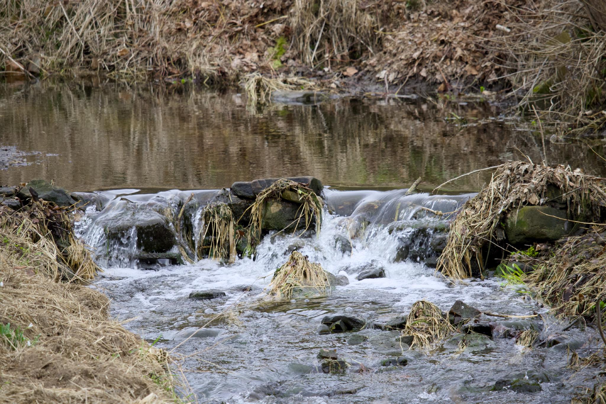 Water rushing over a small weir into a calm stream