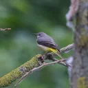 Sponsor Post: Nadine's Morning at the Pond cover image