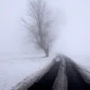 School's Out cover image