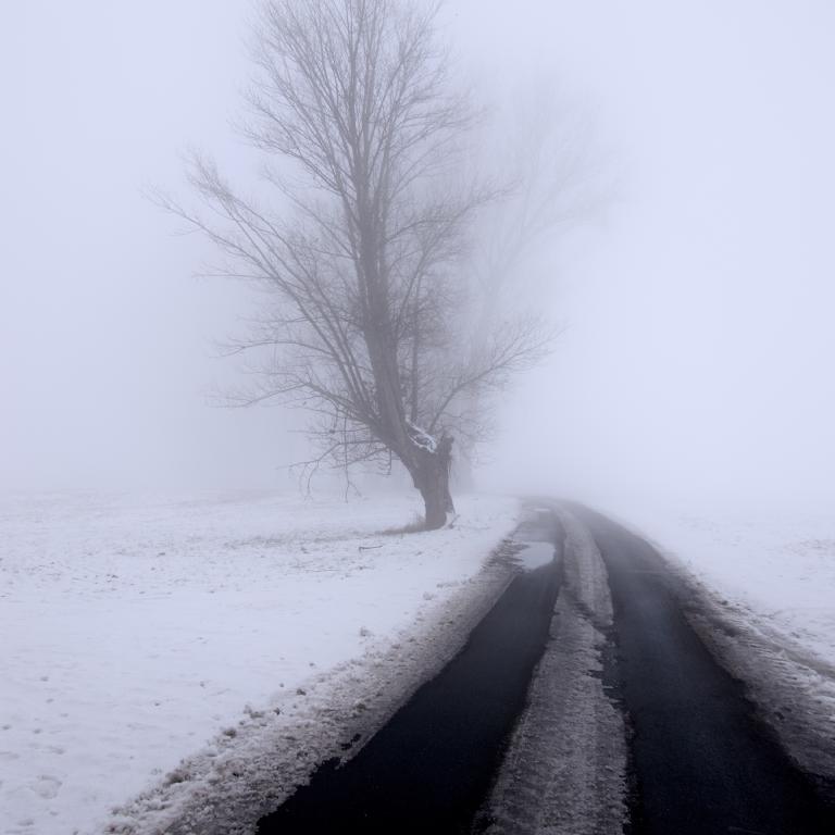 Photo from School's Out