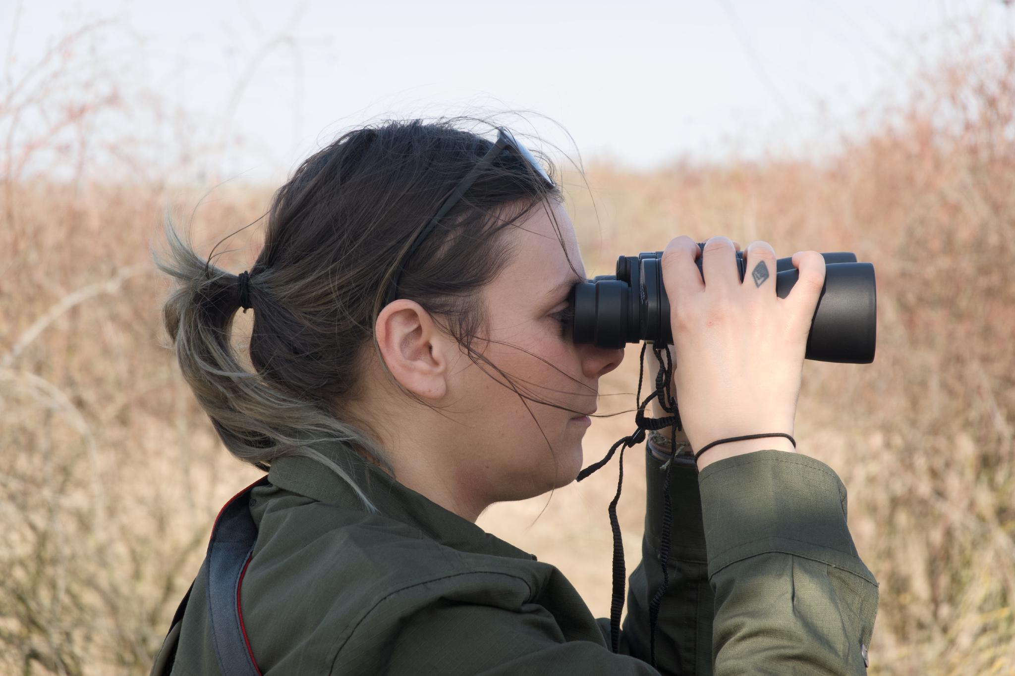 Looking for wild horses with binoculars